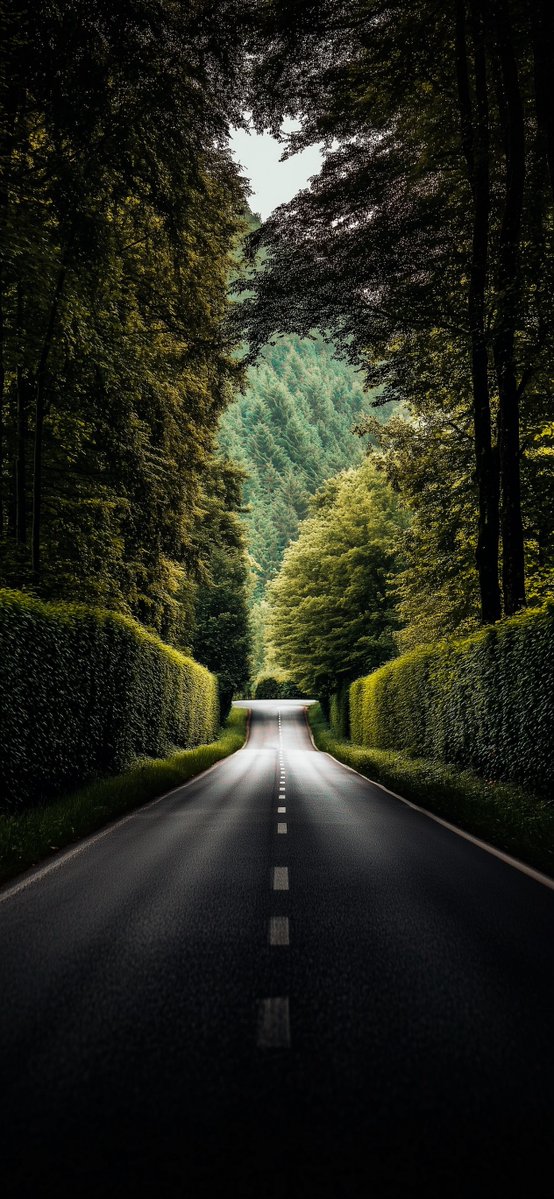 Papers_app's tweet photo. Follow the Path Less Traveled. 🌿🛣️ https://t.co/ecFbmskLZC