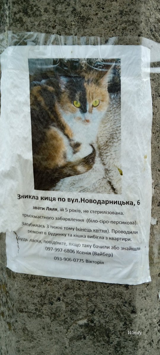 Sayravem's tweet photo. #Київ https://t.co/vwmNFwAP57