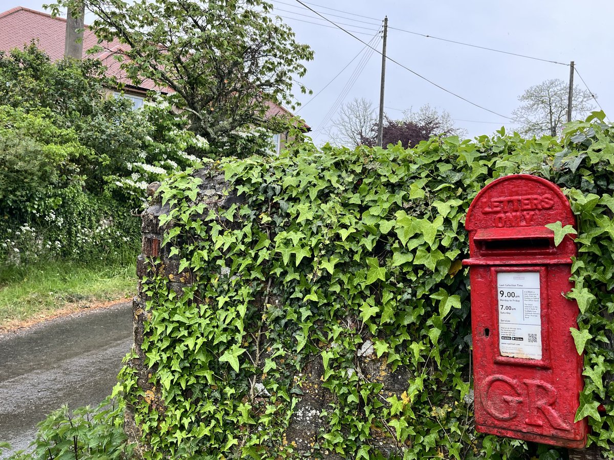 angelaproudnan's tweet photo. Nice little GR amongst the ivy for this week’s #postboxsaturday #postbox #handwrittenletters #post #village #saturday #weekend #saturdaymorning https://t.co/JSmve1Mtro
