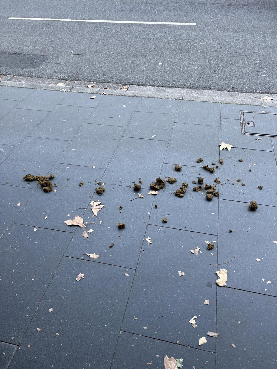 anticopofficial's tweet photo. If you don’t clean up dog poo in NSW you will be fined, but police horses leave poo all over the street without consequence. When challenged on this, the NSW Police claimed that members of the public actually like it, because they collect the manure for gardening. https://t.co/KLQV5DuspM