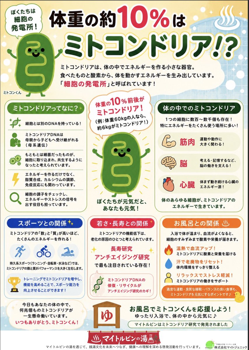 104087's tweet photo. 毎週土曜日は『マイトルビンの湯』

銭湯×サイエンスから生まれたマイトルビン✨

マイトルビンは、細胞のエネルギー工場と呼ばれるミトコンドリアに着目した成分です。

週に一度、妙法湯でマイトルビン習慣。
しっかり温まって、心も体もリフレッシュしてください😊♨️

土曜日は妙法湯へ！ https://t.co/LcfXbZGBYz