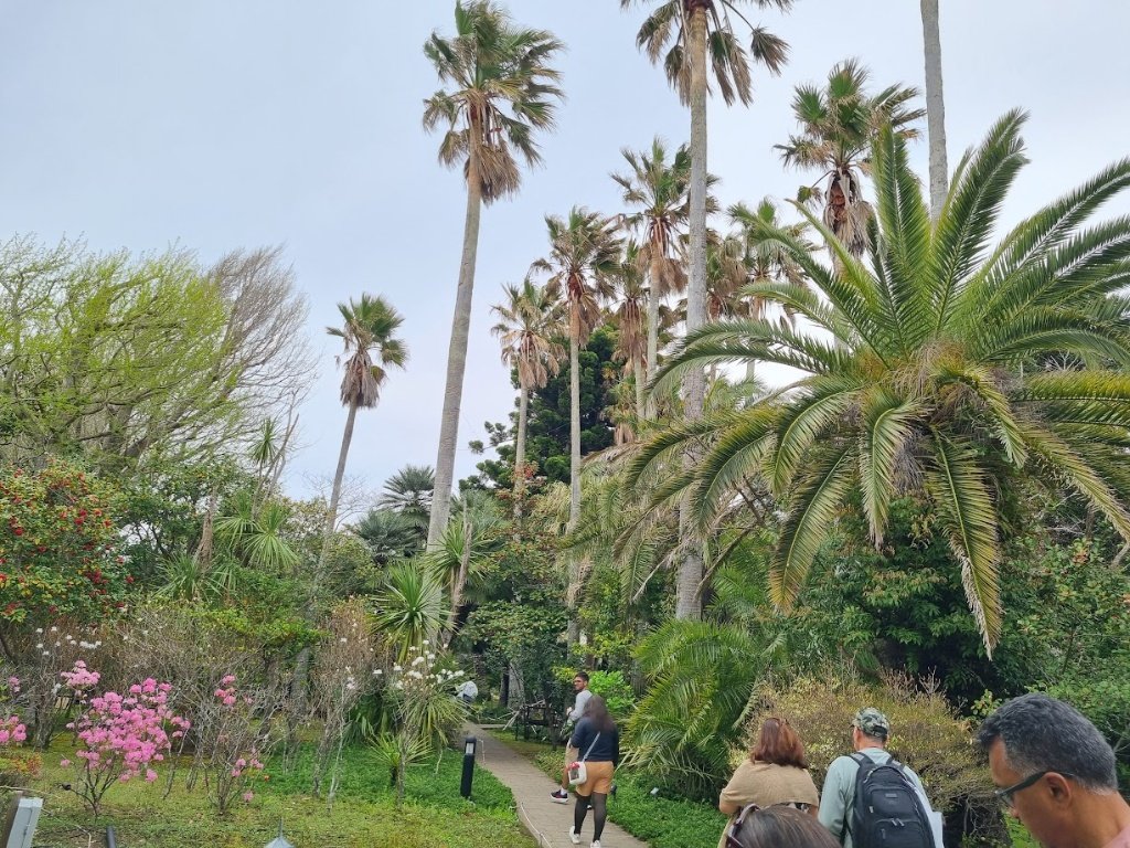 1201Polyak's tweet photo. Finally made it to the Samuel Cocking Garden! 🌴 After a lovely stroll through the lush grounds, I treated myself to a legendary French toast at LONCAFE. The view of the Kamakura coastline from their terrace was the perfect sweet bonus! 🥞☕️🌸🌊 https://t.co/hzkzmhBGEK