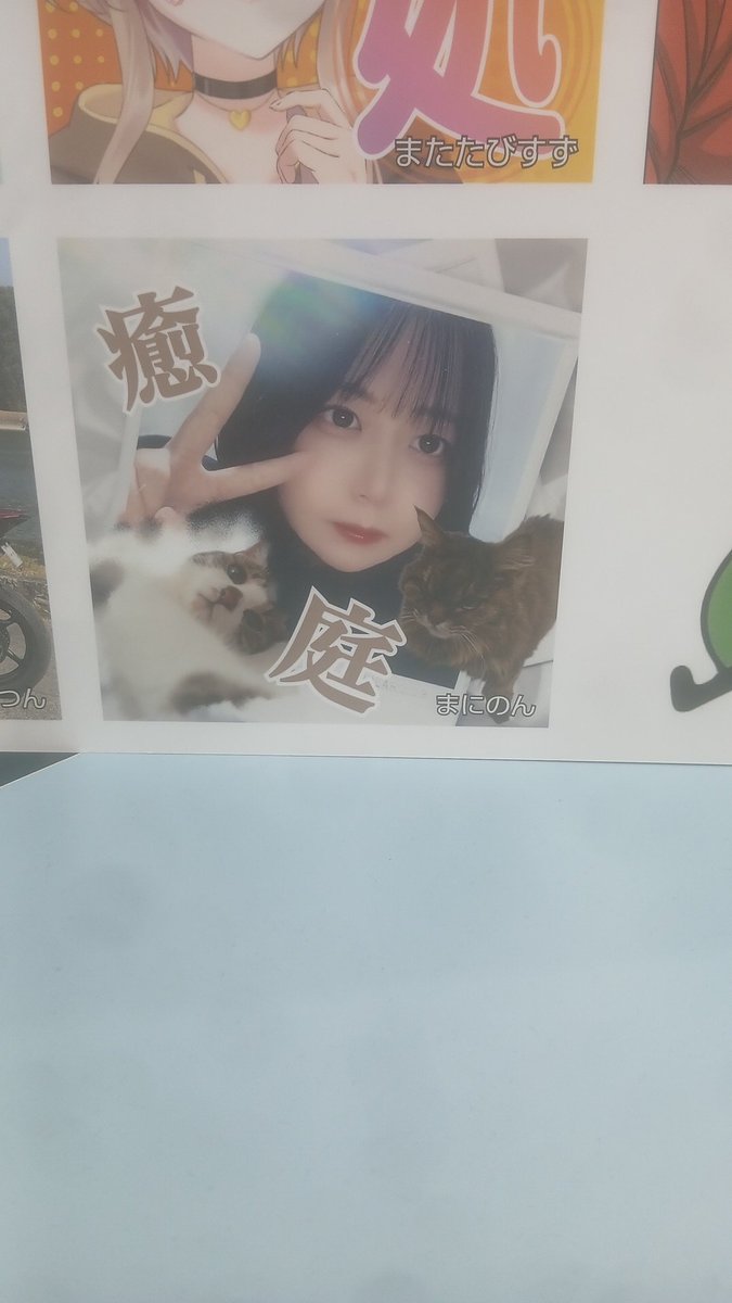 day_got_sun's tweet photo. かあいいね😊 https://t.co/iNpFOdCXRx