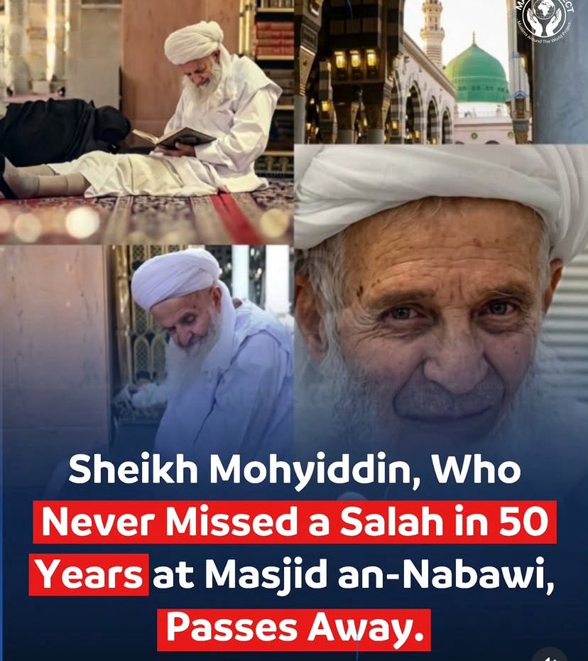 WaleedAbdo17352's tweet photo. Masha Allah Allahumma-Barik 🤲🤲 https://t.co/wxOHfW5q4d