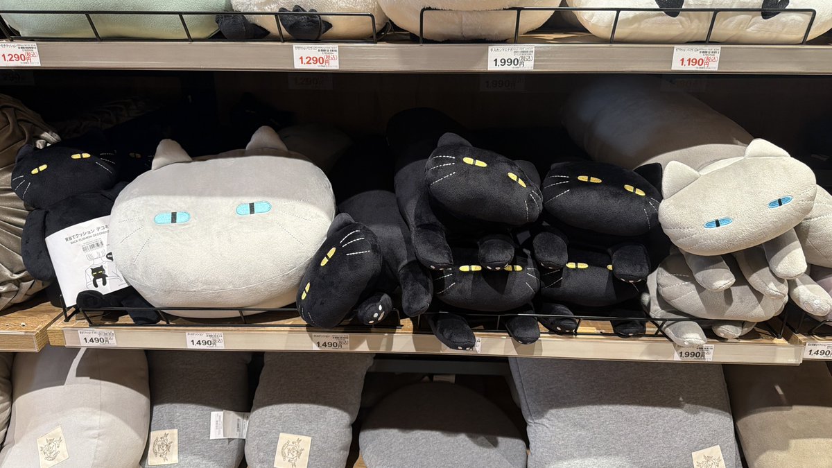 TYPE_Liar's tweet photo. ニトリで時間潰してると、もちもちクッション買い足してしまいそうになるので危険 https://t.co/L6tkp39GHA