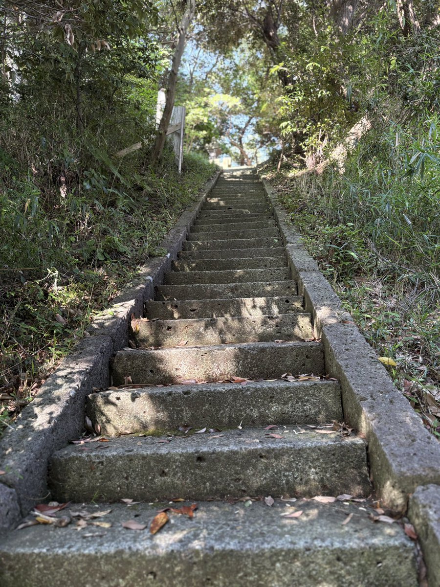 CharoCurry's tweet photo. 海蔵寺の近くの浄光明寺。お寺の奥の階段を登ると、海がみえる絶景ポイントがありました。ここは初めてきました。まだまだ鎌倉にも知らない場所がたくさんあります。
#鎌倉
#浄光明寺 https://t.co/bn0qxUW62Q
