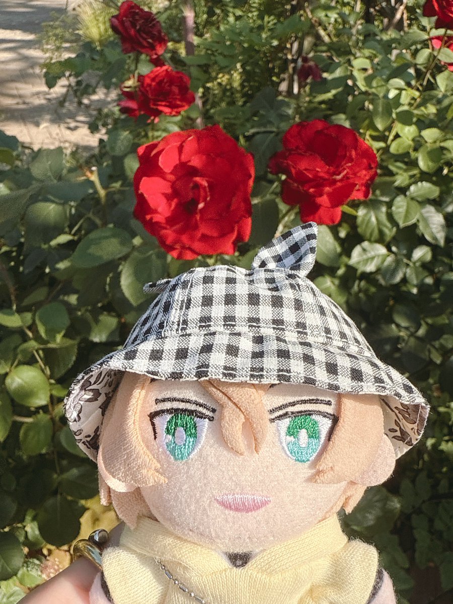 nuinuinagisa's tweet photo. でぬまぼも競馬場を楽しみました🐴東京開催中に来られてよかった〜！この時期は芝の緑が鮮やかで綺麗だね🟢 https://t.co/dSuGPWzCr9