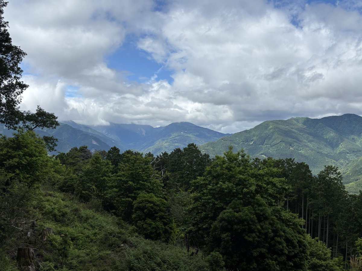 3Sky16's tweet photo. 東宮山に登りましたー⛰️
先日の台風の影響か　花びらが散っていました　でも何とか耐えたベニシャクも

徳島県美馬市、神山町 https://t.co/cUruRCeYd3