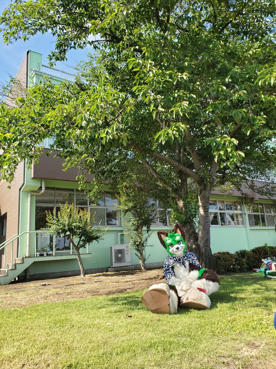 mochi_Loptr's tweet photo. 狭山茶体験フェスタ にて！
途中から天気よくなって良かったね🌞🌱
 #りきゅ写 https://t.co/ORAMdh4bOz