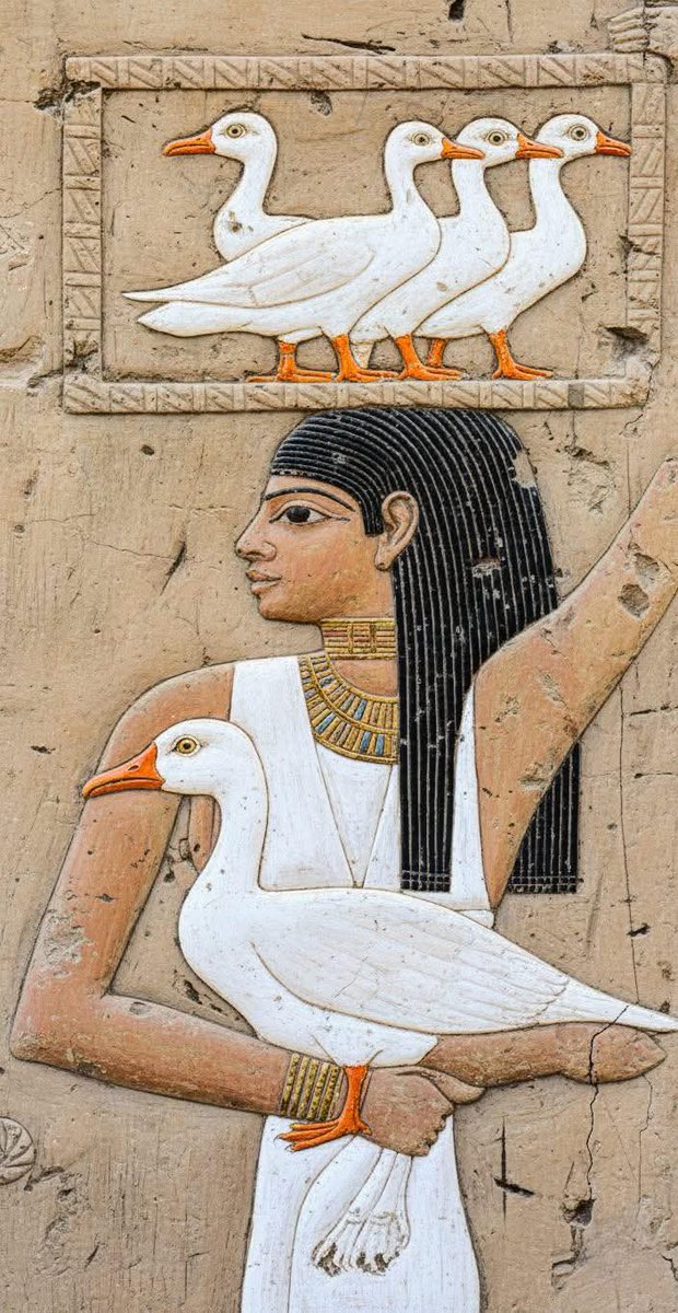 Ma70402's tweet photo. الدولة الحديثة (حوالي 1550–1070 ق.م )
مقابر النبلاء بمنطقة طيبة (الأقصر )، https://t.co/fKoS7qUQiH