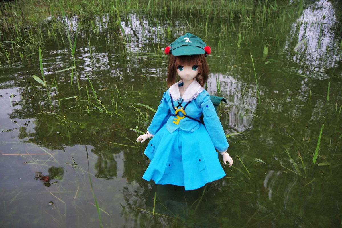 pet73359's tweet photo. 今日のお出かけ
リリア・ましろ・ほのの・アリス
５０ｃｍ　１／３　（アゾカツ https://t.co/u8AxTbJxib