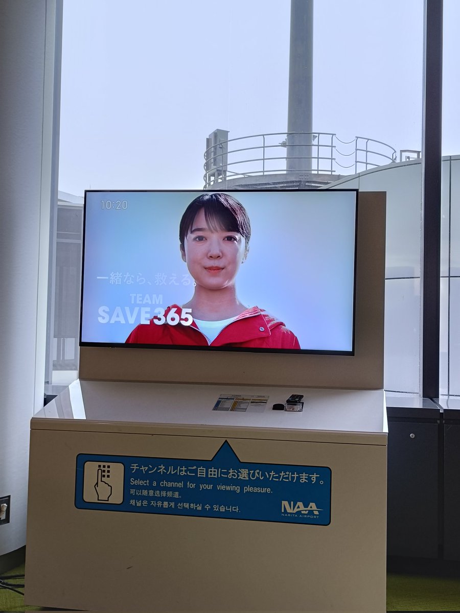 luminolcats's tweet photo. 韓国１日目

https://t.co/5j51tOzdRS

#海外旅行 #一人旅 #バックパッカー #世界一周 #韓国 #赤十字 #猫 https://t.co/4SY1g7FwwE
