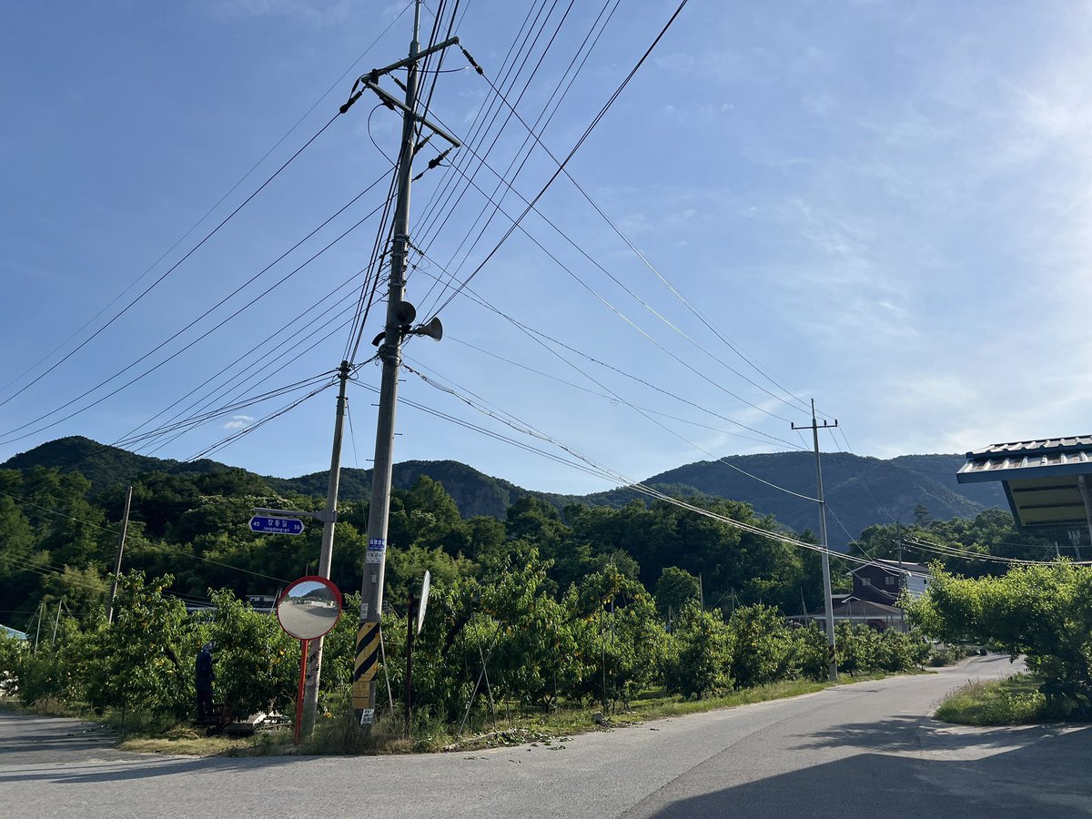 yunyeungcha's tweet photo. 韓国第3の河川である錦江を見ながら西へ進んで17:10に獐洞という小さな集落に到着！！！！！すももが実る静かなところでバスを降り立つと物音もしない

#路線バスで韓国縦断 https://t.co/EG1dqx2Xaj