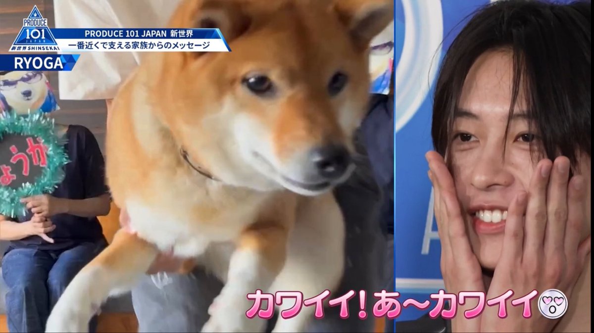 くすのき tweet media