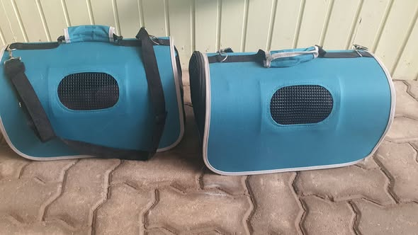 yolandaschultes's tweet photo. 16866 Kyritz
Am 05.06.2026 wurden diese Katzen samt Boxen ausgesetzt!
Kopie Tierheim Papenbruch
Tierheim Papenbruch
!!!Ausgesetzt!!!?
Gestern den 05.06.2026 wurden diese Katzen samt Boxen in der Straße der Jugend 16866 Kyritz
gefunden
Wer kennt die Tiere ?
Wir bitten um Hinweise!
Tel.: 03394/400160 bei AB Bitte drauf sprechen, wir rufen zurück.