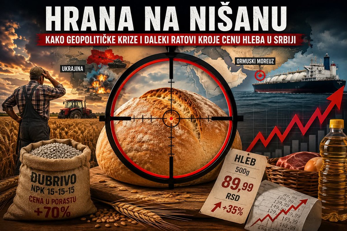 srcepancevo's tweet photo. Hrana na nišanu: Kako geopolitičke krize i daleki ratovi kroje cenu hleba u Srbiji

Kada čujemo vesti o sukobima na Bliskom istoku ili o blokadi nekog tamo Ormuskog prolaza (Moreuza Hormuz), prosečnom čoveku u Srbiji to deluje svetlosnim godinama daleko. Kakve veze ima moreuz između Irana i Omana sa našim seljakom u Mačvi ili Vojvodini? 
Veza je, nažalost, direktna i tiče se onoga što imamo na trpezi.
Moderna poljoprivreda ne može bez veštačkog (mineralnog) đubriva. Ono je za biljku ono što je benzin za auto. 
Otkako je pančevačka Azotara zatvorena, Srbija gotovo sve količine đubriva mora da uveze. Samim tim, naša proizvodnja hrane postala je talac svetske politike i dalekih morskih puteva.

Gde škripi i zašto smo u opasnosti?
Opširnije na linku:
🔽🔽🔽
https://t.co/BGFCHp3gWd