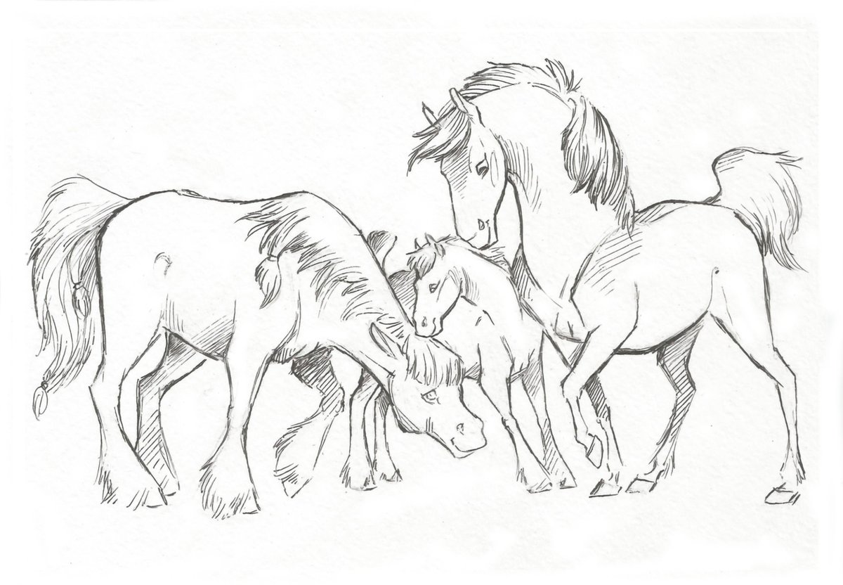 Taski_Guru's tweet photo. Line art of horse ocs characters (closed)
#lineart #equine_oc #family #line_art #horses #equine_art #drafthorse https://t.co/Of0zJgNjgb