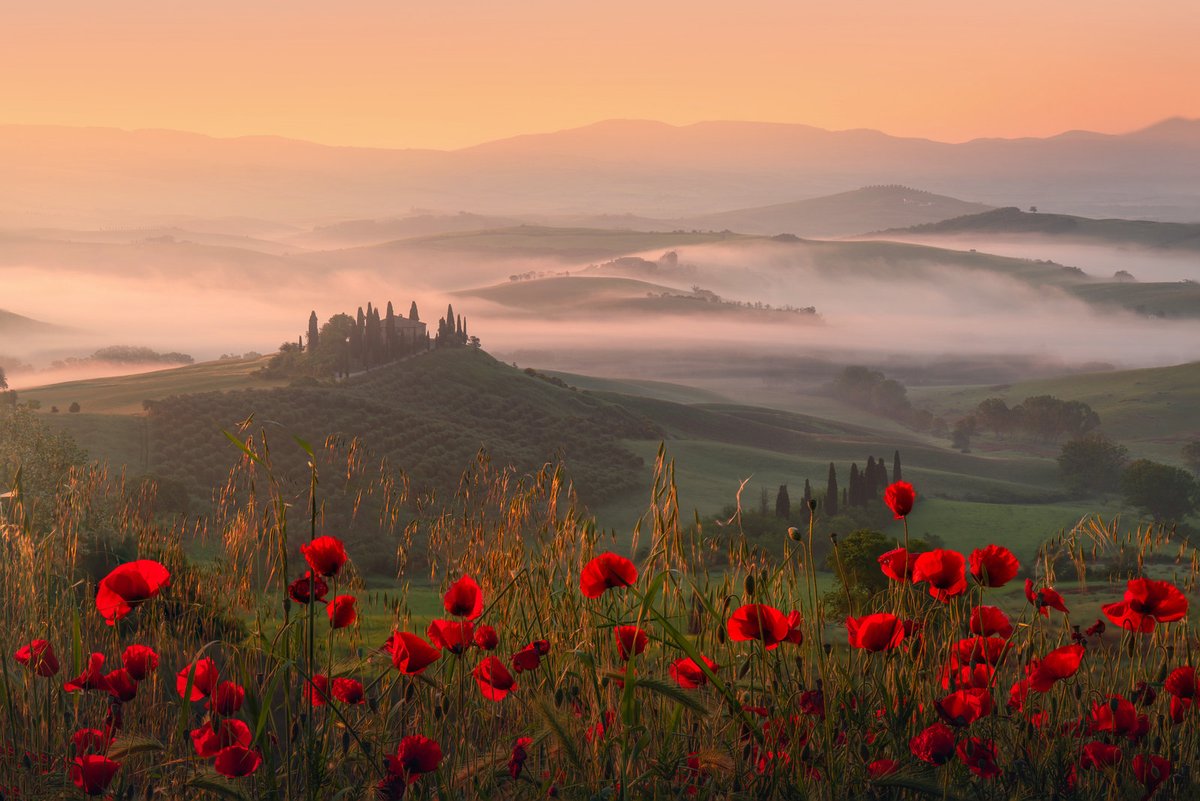 albertdrosphoto's tweet photo. Spring in Tuscany https://t.co/YaOn3eCVtI
