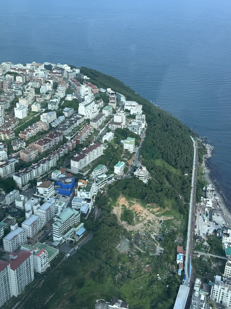 타수성가 tweet media