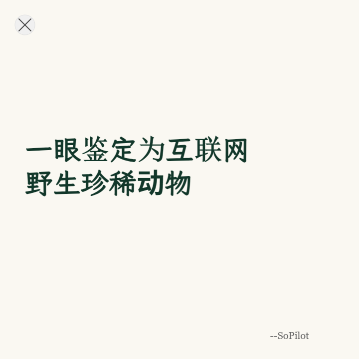 AIPandaLab tweet picture