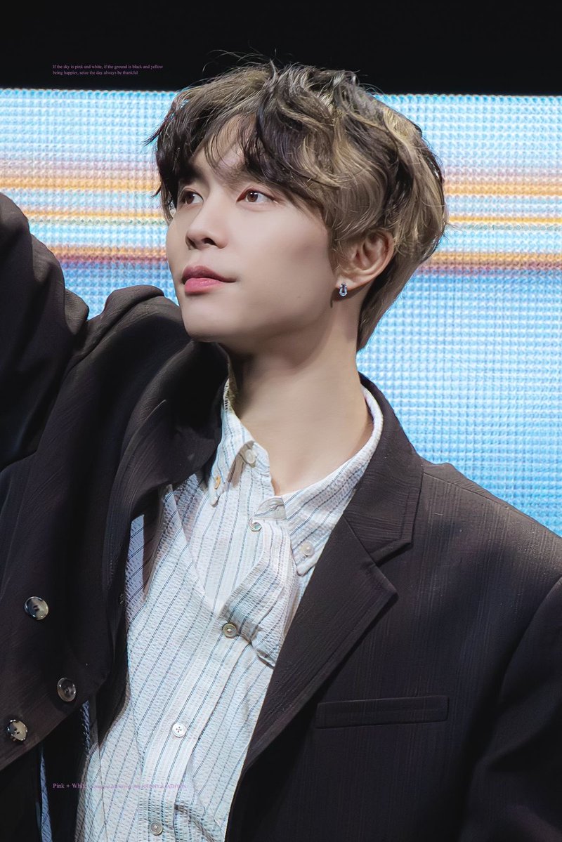 쟌냥이 tweet media