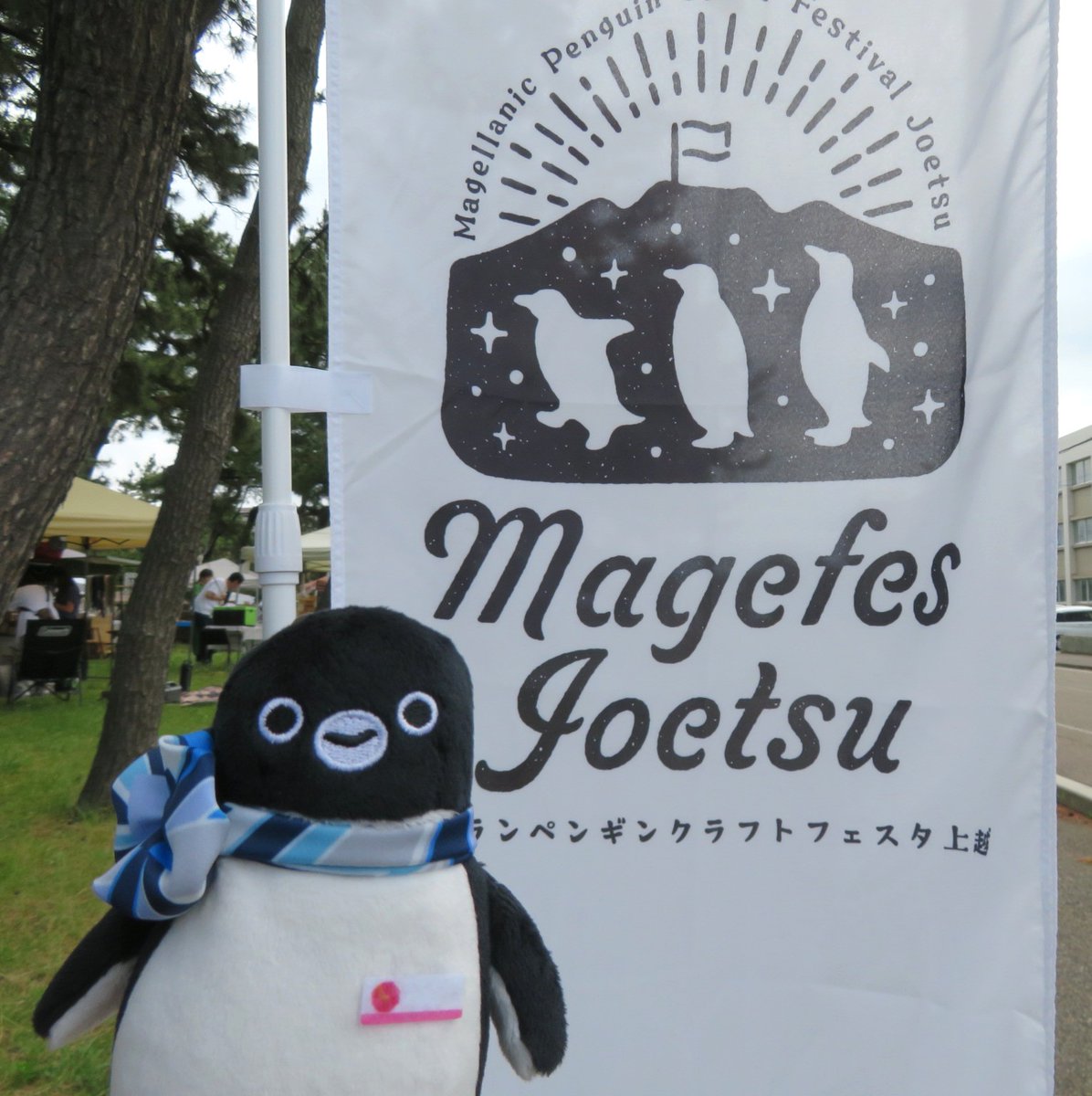 pingu651's tweet photo. マゼランペンギン クラフトフェスタ上越でペンギングッズ購入
会場となり上越市立水族博物館うみがたりでマゼランペンギン観察
#マゼフェス上越 https://t.co/t5IGilKQTd