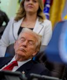 XJetPro's tweet photo. @lady_valor_07 That would be low energy Donnie. https://t.co/ZTXh7Qq67Q