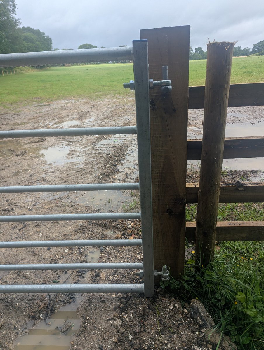 RecyclerBill's tweet photo. Today's #GateOfTheDay is a new install. 🕵️
A few things I would have done different at both ends #hinge (flip one for security) and &amp; #latch (move in and down to allow for future movement). 
#BillsGates
#QuiteInterestingGatesAndLatchesOfTheUK https://t.co/lzoTj2wfIQ