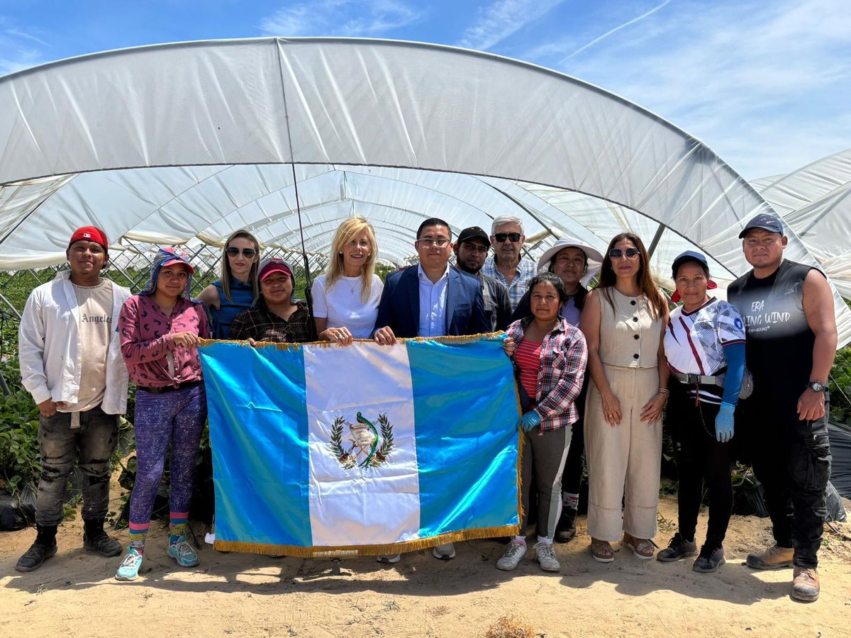 EmbaGuate_Es's tweet photo. La Sección Consular de la Embajada de Guatemala en España se reunió con la Subdelegada de Gobierno en Huelva y la Jefa de la Dependencia de Trabajo e Inmigración junto a Representantes de Asociaciones Empresariales para tratar la Migración Circular de los Trabajadores Temporales. https://t.co/pWoQpTvXyW