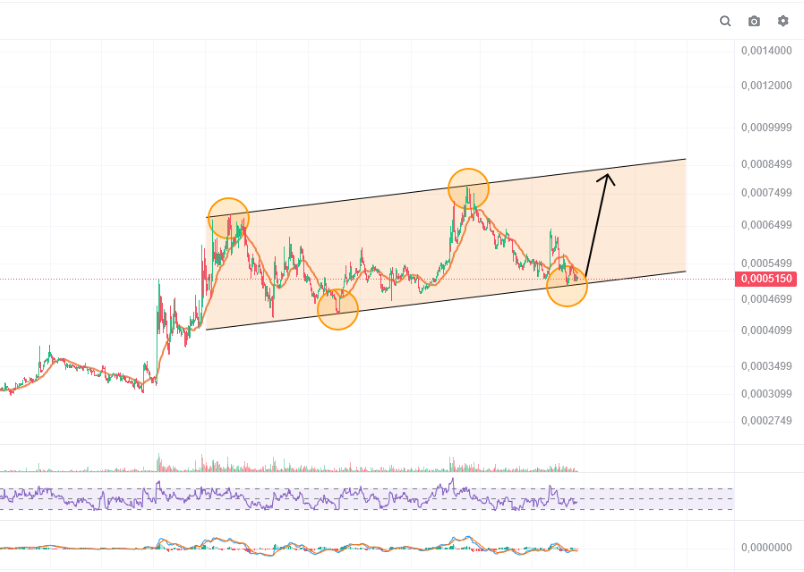 Small_retail's tweet photo. $BNKR Bullish https://t.co/QTVDUcKLEY