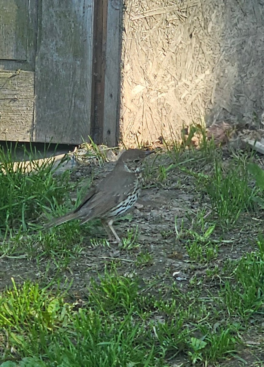 kaskaa1818's tweet photo. Dzień Doberek 🌞 miłego dnia ☺️❤️ https://t.co/q7XiSfHKwi
