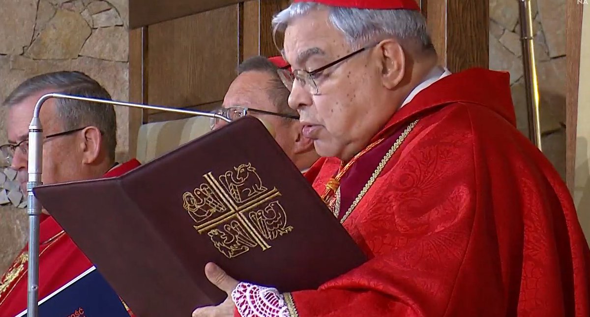 EpiskopatNews's tweet photo. Kard. Marcello Semeraro, prefekt Dykasterii Spraw Kanonizacyjnych, w #homilia podczas beatyfikacji dziewięciu męczenników salezjańskich: Świętymi zostaje się, wsłuchując się w głos Pana Boga. Nie ulegajmy zniechęceniu! https://t.co/8Xt1UnO1RU