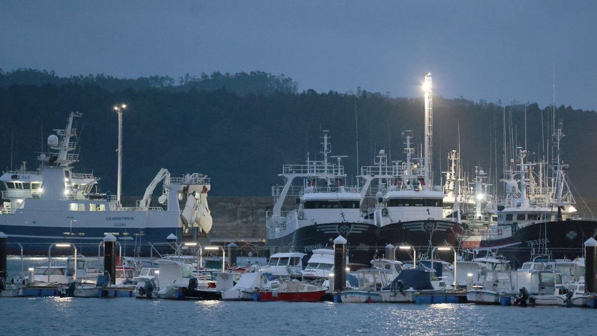 somosmar_lvg's tweet photo. La pesca europea pierde 156 millones por cada 10 céntimos que sube el gasoil https://t.co/2JmZFmZQZ0