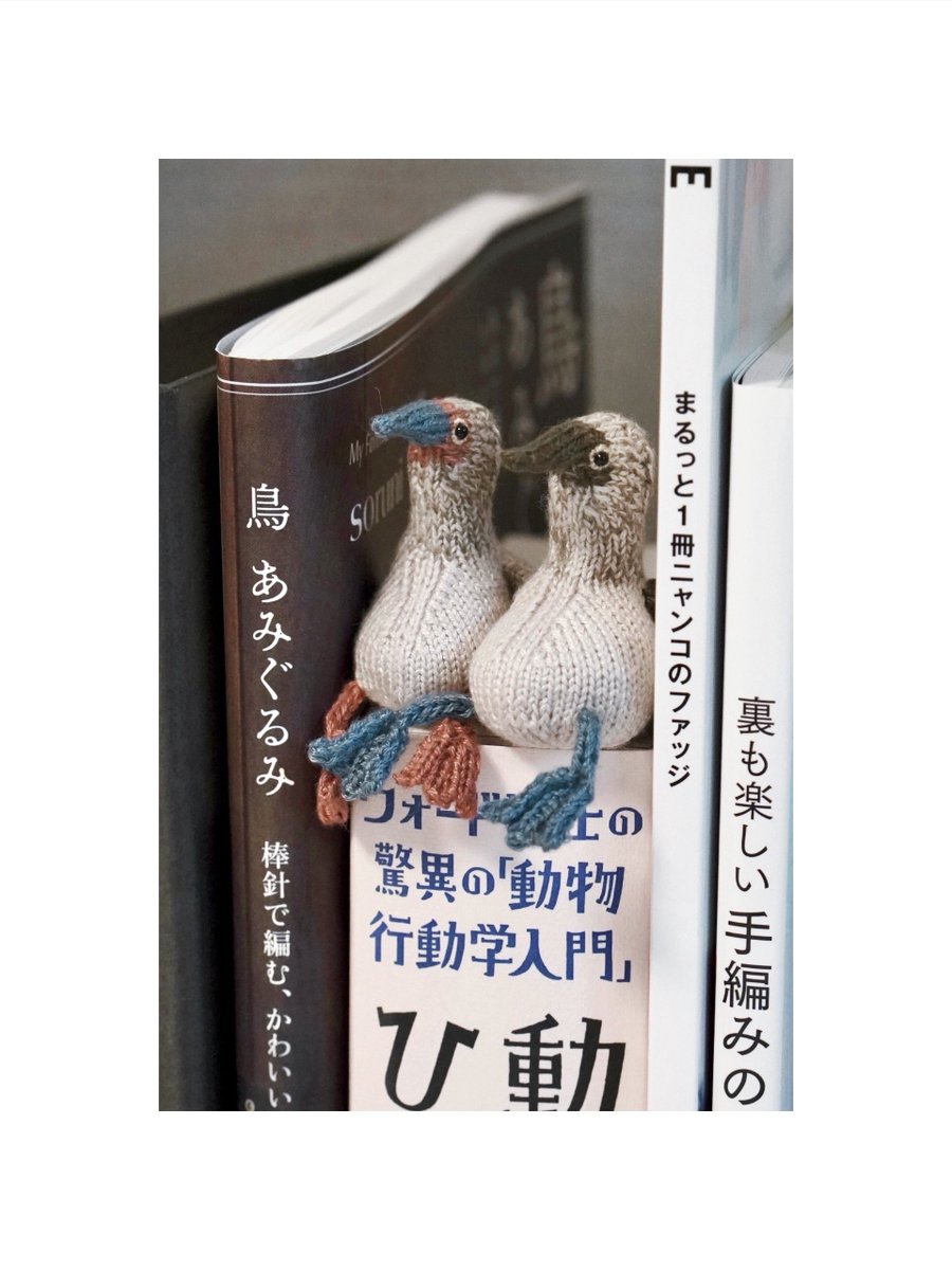 7_27_AYUMU's tweet photo. 『鳥あみぐるみ 棒針で編む、かわいいリアル鳥類』より
アオアシカツオドリ編めました🐦‍⬛

色を変えてアカアシカツオドリも編んでみました🐦‍⬛

仲良し仲良し🎶 https://t.co/IVaBmzZVvJ