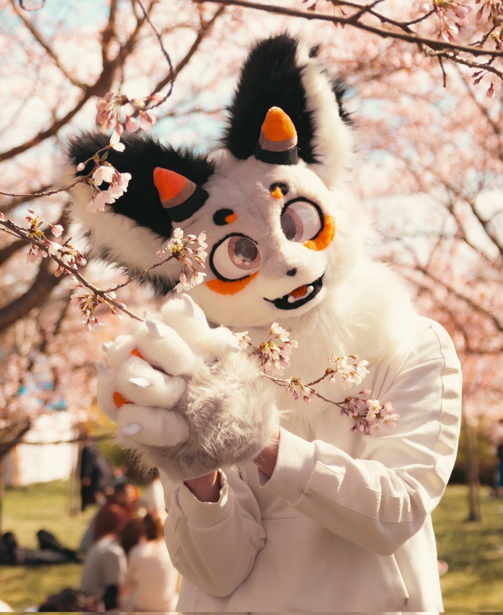AnthroCreatures's tweet photo. The feeling of seeing suit i've made get the most amazing photos ever is just.. 🥹❤️‍🩹 

#thoseanthrocreatures #fursuiter #photography https://t.co/CsmSsJVD8g