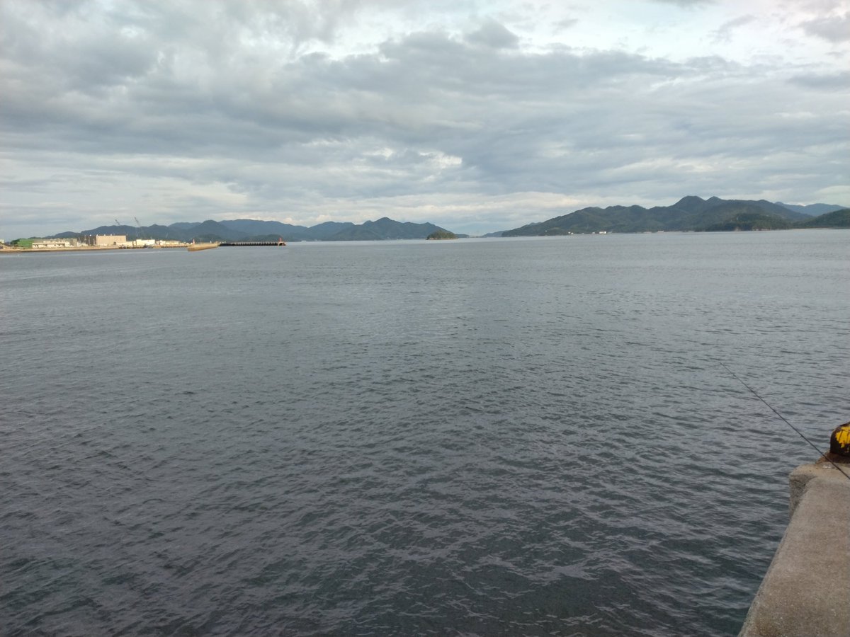 hamamoto_m's tweet photo. 性懲りもなく1時間だけ
先行者さんが３杯釣ったらしく、
「オイラも〜」
と勇んでやってもなんもなし

こんなものよと微笑んだのは確かにつくり笑いさ♪
お疲れ様でした〜 https://t.co/2KEFQJ6Piy