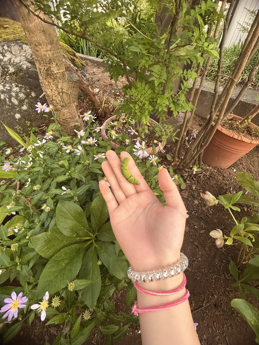 cha_jj78's tweet photo. おばあちゃん家楽しすぎてずーっと居られる https://t.co/eqoVjXl7rZ