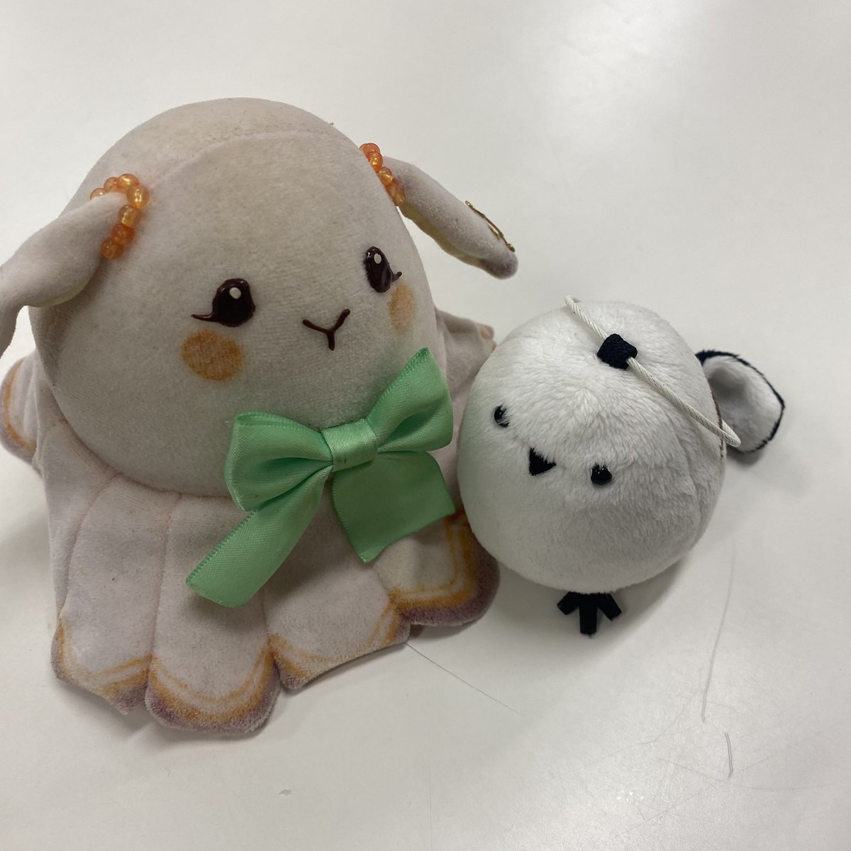 utk_chor_'s tweet photo. しぐにゃんとエンカウントしました✌️
うたかたにて。 https://t.co/illcEkpMKw