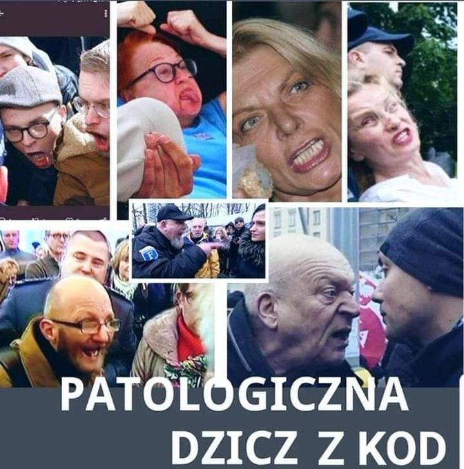 old_ragefox's tweet photo. @pis_nie Przepraszamy Cię O! Wodzu nasz Tusku !!! https://t.co/FIMAx5j3YB