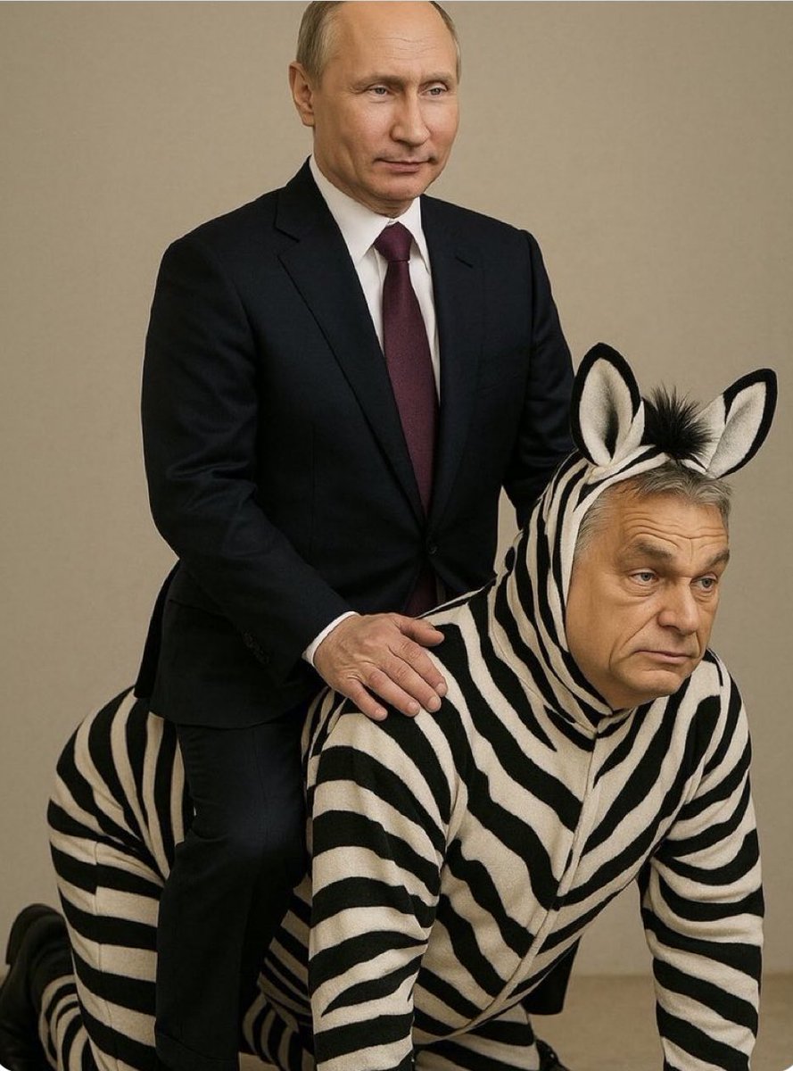 SffGeorgia's tweet photo. It's time to hold little viktor accountable for all his corruption, treason, and lawlessness❗️❗️❗️❗️❗️ https://t.co/7miLLsH1ks