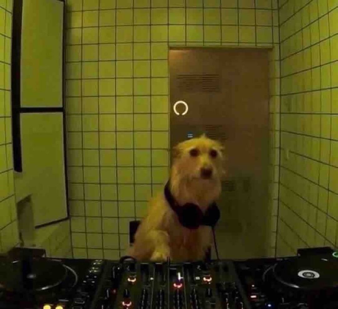 Guarromantico_'s tweet photo. Yo haciendo mi playlist antes de meterme a bañar. https://t.co/aElTuaa9RY