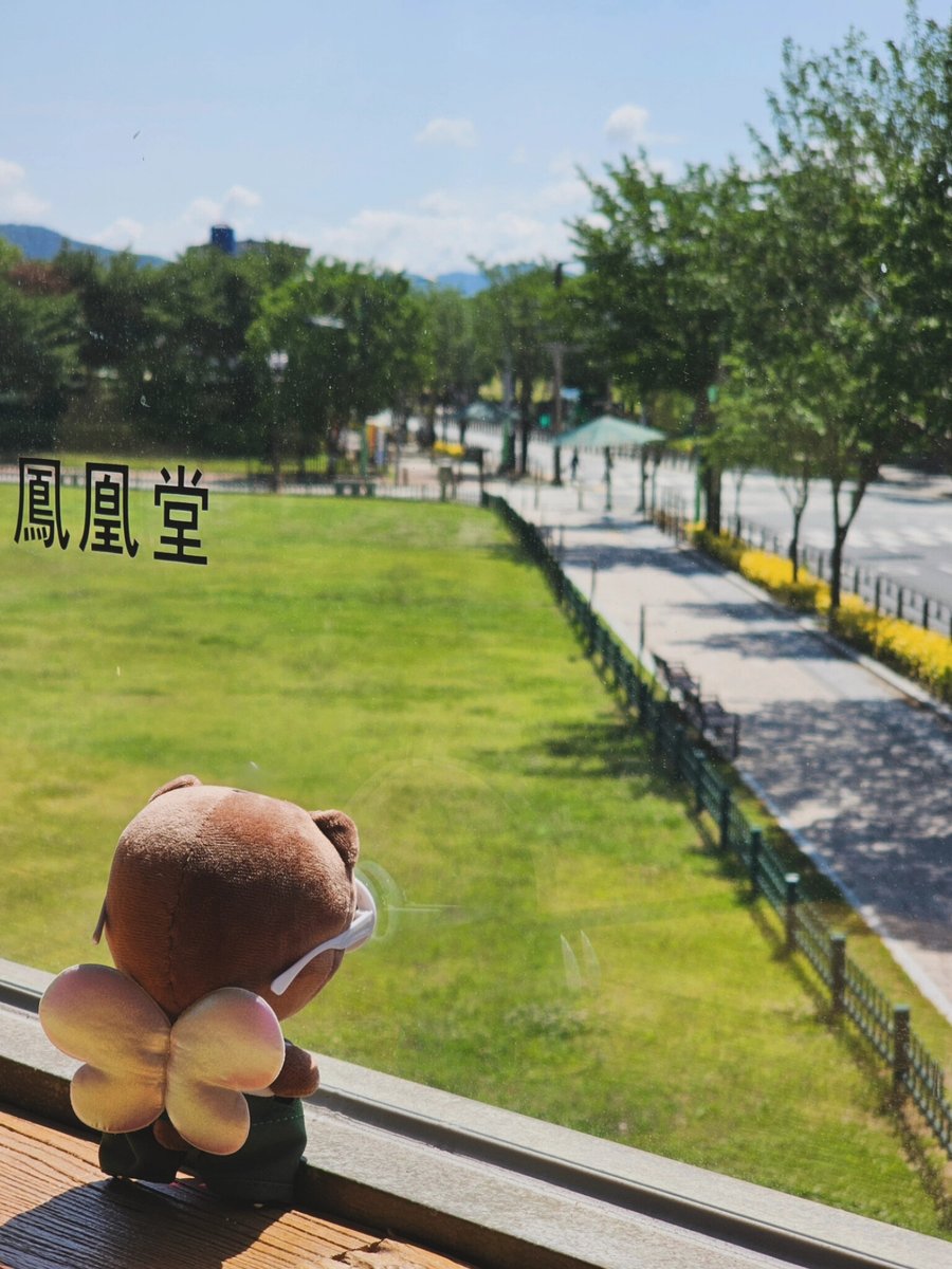 coolness_b's tweet photo. ※주의※
🐻 방이가 너무 귀여우니 심장 조심 😍 https://t.co/YoWeTjRnrQ