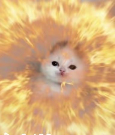 KoochieKyle's tweet photo. HOW THE FUCK DO YOU RENDER SKIN https://t.co/W8qutoRp6y