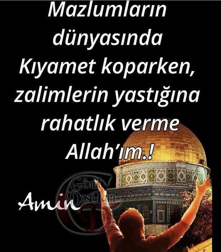 muratpeltek35's tweet photo. https://t.co/dorXbLJedT