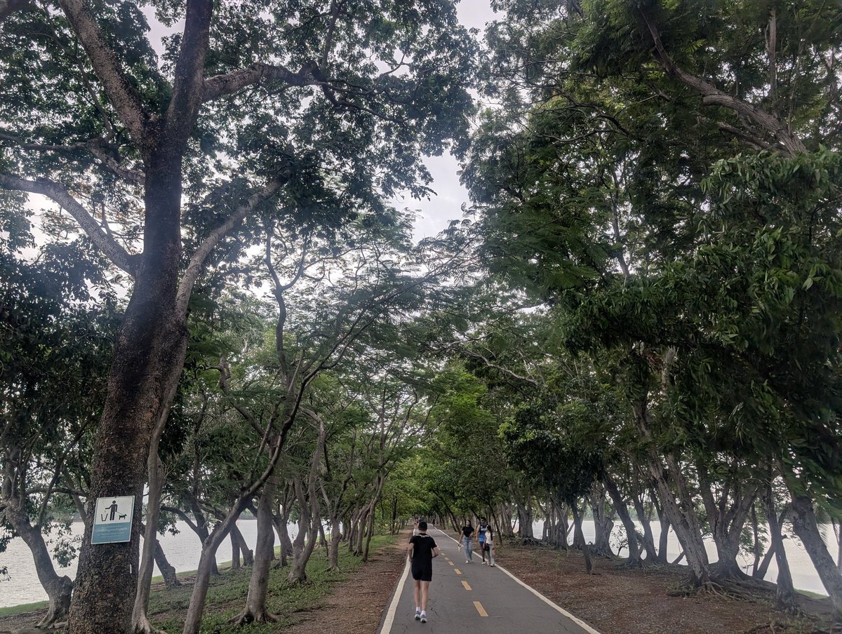noborderslife's tweet photo. ブンノーンボン公園、めちゃデカかった🌴
ペット連れが大集合してた🦮 https://t.co/d9hImDCyx3