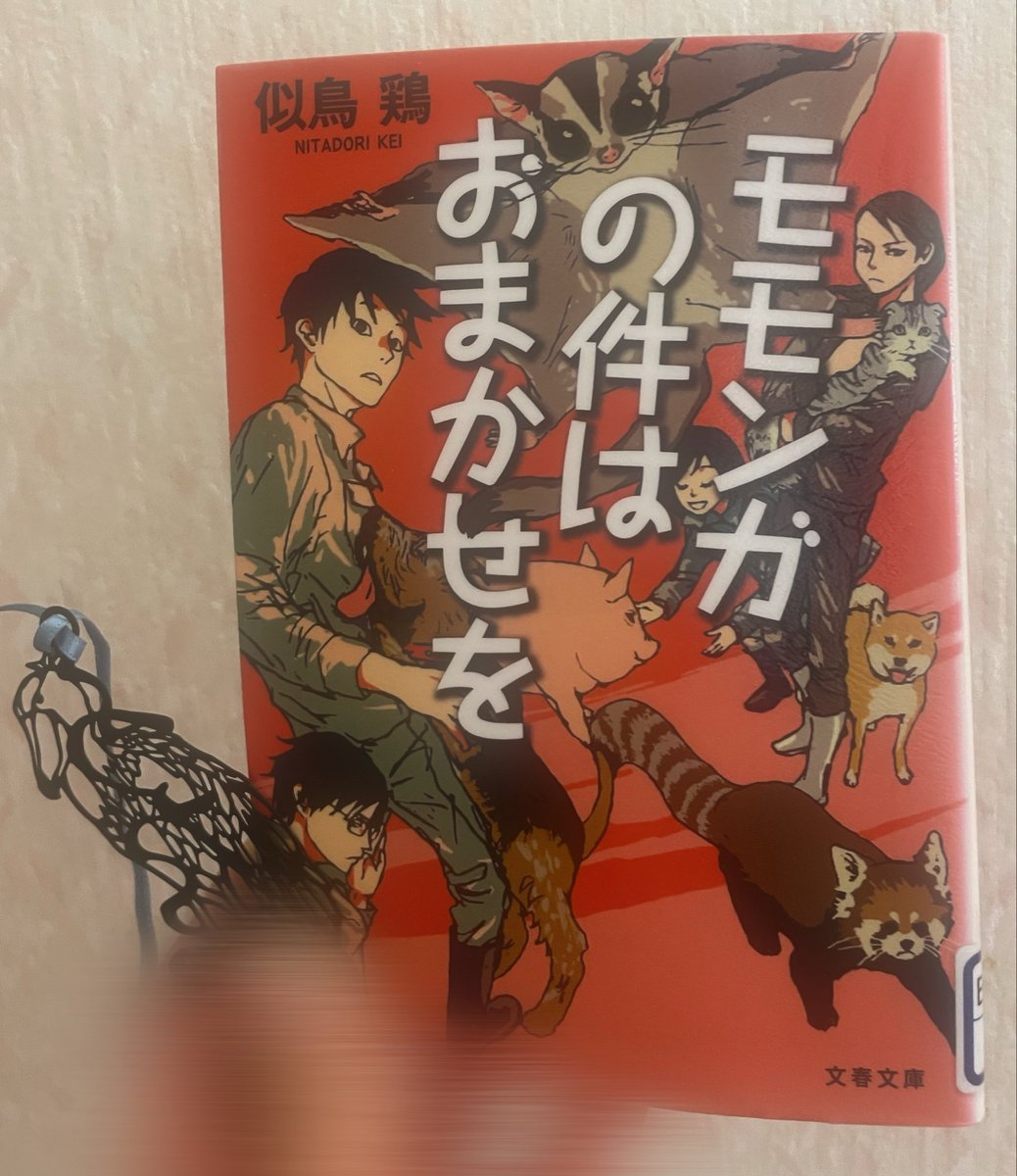 g_coconaro's tweet photo. 「モモンガの件はおまかせを」を読みました🐍

ペット界の闇、身近な問題に関わる一冊でした🐕
メインの登場人物達の勘が鋭いところが普段から動物をよく見ているからなんだなと思います。
4人が揃った時の安心感とワクワクがすごいです🐈
特に怪物との戦いが熱くて一気に読んでこの時間になりました https://t.co/PyMCDpoB42