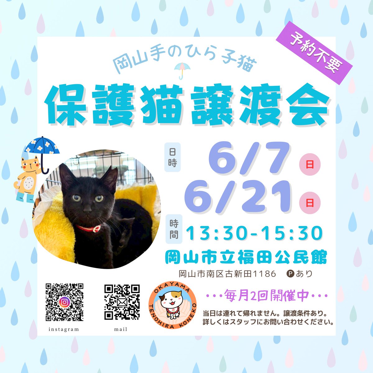 nekostm's tweet photo. 明日6/7は譲渡会です🐈
福田公民館でお待ちしてます😸

#岡山手のひら子猫
#ずっとのおうち
#里親募集中
#岡山市 https://t.co/ssU0PIMU5b
