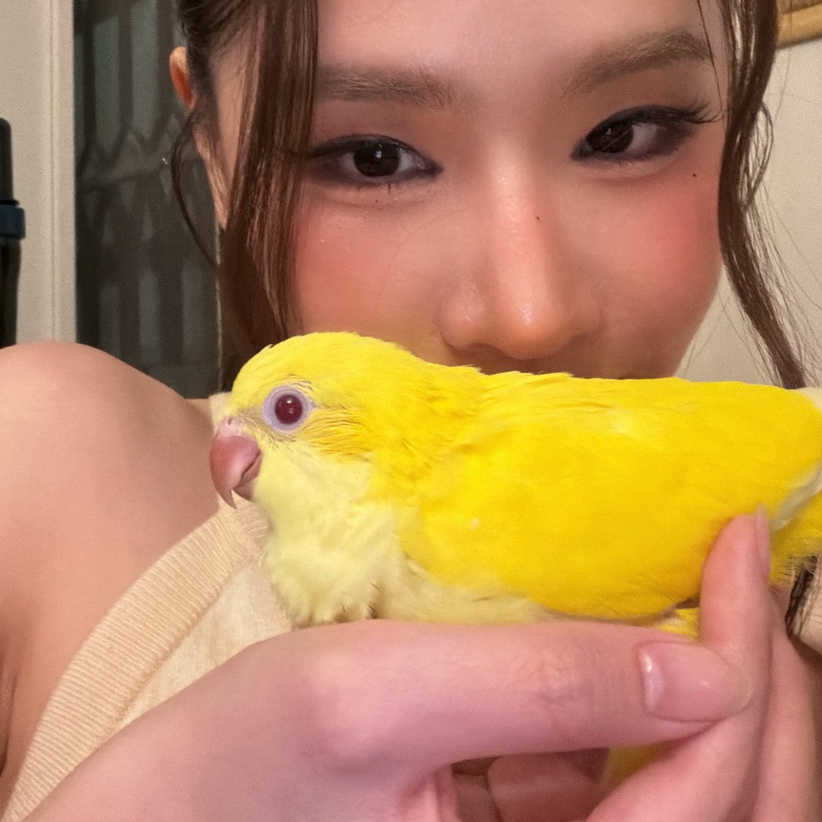 _pundao's tweet photo. หนมจีบ https://t.co/ukbFuHE398