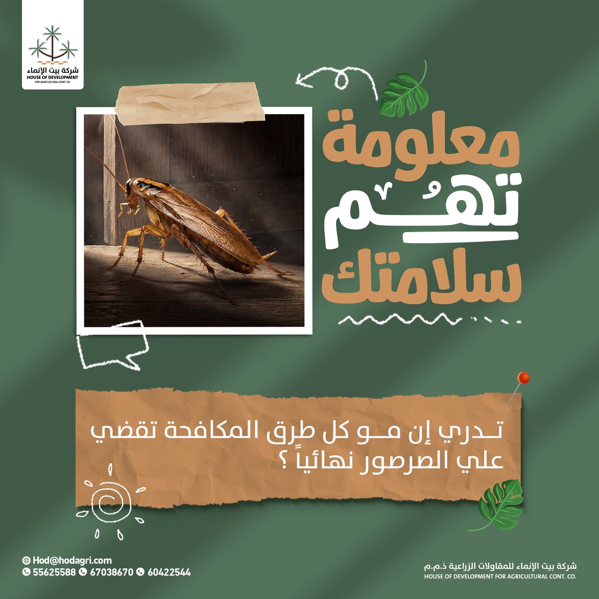 houseofdevelop's tweet photo. ليش الصرصور يرجع حتى عقب ما ترش بيتك؟ 🤔
لان المبيدات العادية والرش التقليدي ممكن يقتل اللي تشوفه، بس مايقضي علي الكل
في بيت الإنماء، ما نعتمد على الحلو�� المؤقتة ولكننا وجدنا لك الحل الجذري يقضي على المشكلة من أساسها بطريقة احترافية آمنة
📞 للتواصل والاستفسار:
55625588 – 67038670 https://t.co/XZNqmUGzqz