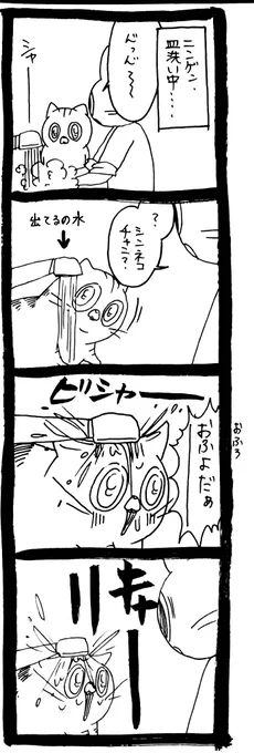 どうしてそんなことに 